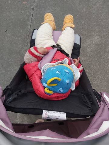 journal_insert_pic_1673534503