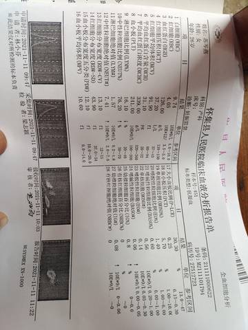 journal_insert_pic_1677237321