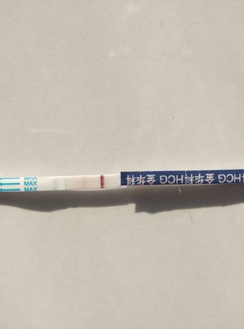 journal_insert_pic_1684048768