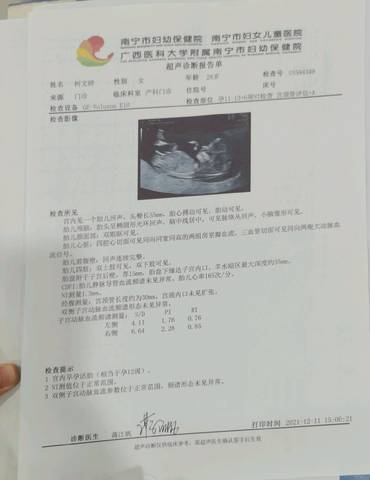journal_insert_pic_1681033614