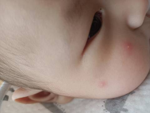 journal_insert_pic_1686306579