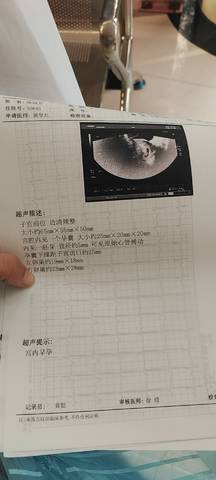 journal_insert_pic_1682593449