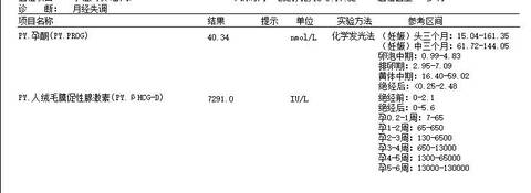 journal_insert_pic_1677295105