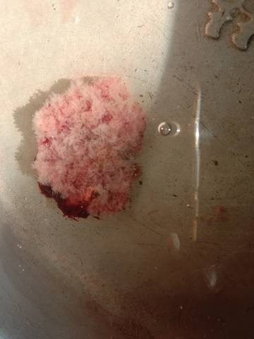 journal_insert_pic_1683667952