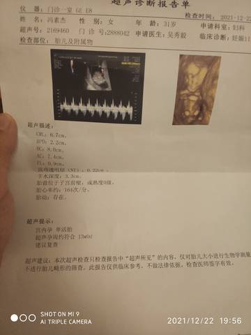 journal_insert_pic_1684539550