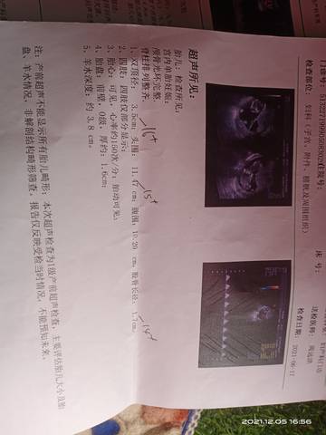 journal_insert_pic_1674217572