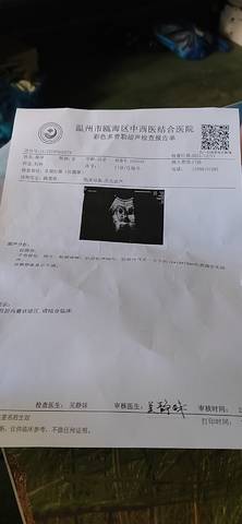 journal_insert_pic_1687155770