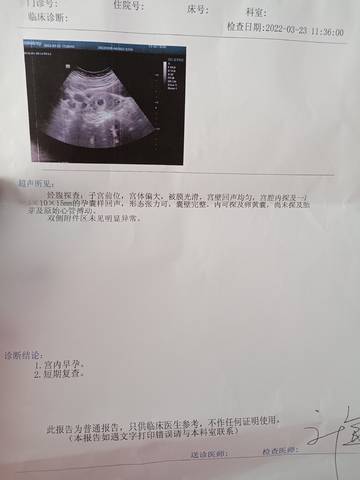 journal_insert_pic_1740907173