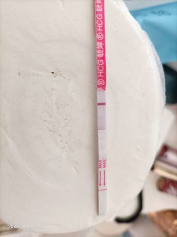 journal_insert_pic_1740910435