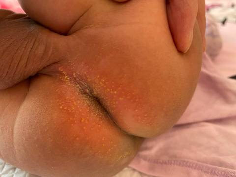 journal_insert_pic_1675507116