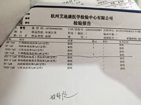 journal_insert_pic_1740870096