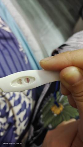 journal_insert_pic_1719718795