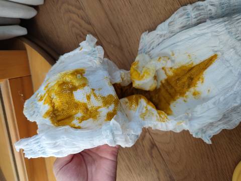 journal_insert_pic_1676543295