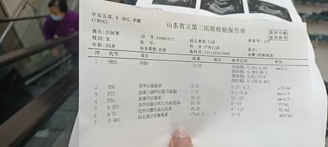 journal_insert_pic_1673446033