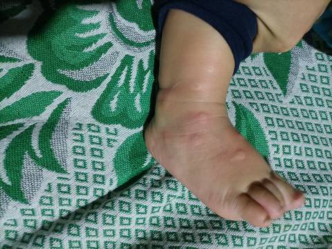 journal_insert_pic_1681134525