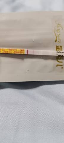 journal_insert_pic_1675940893