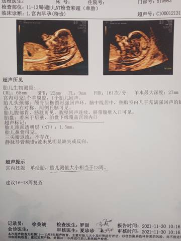 journal_insert_pic_1675422091