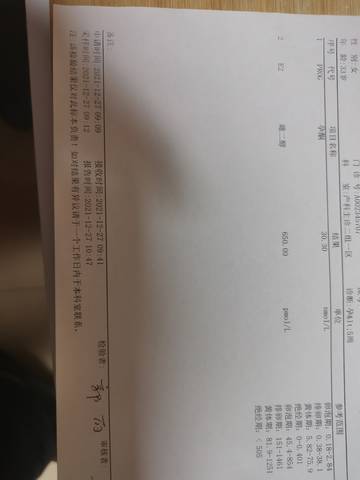journal_insert_pic_1689030285