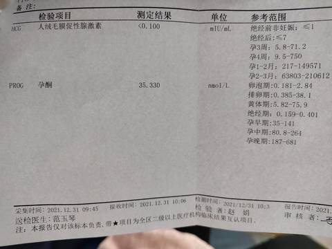 journal_insert_pic_1689848929