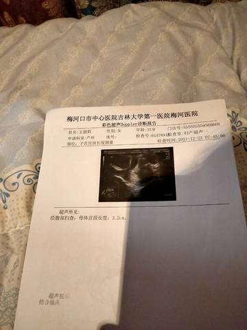 journal_insert_pic_1685608489