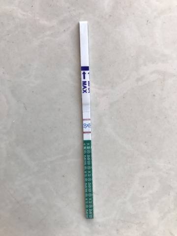 journal_insert_pic_1675968681