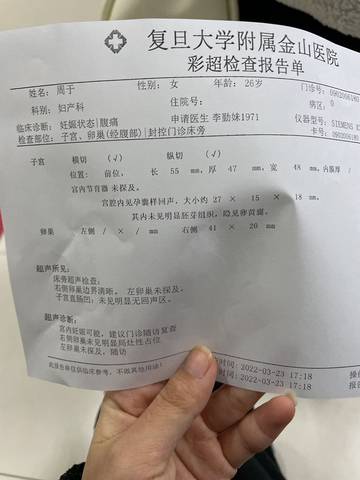 journal_insert_pic_1741060265