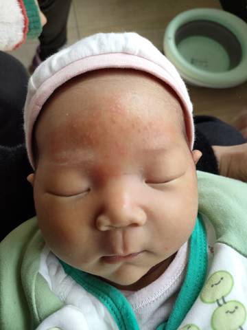 journal_insert_pic_1740842613