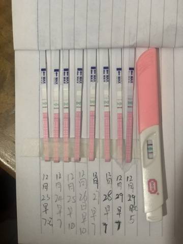 journal_insert_pic_1688513295