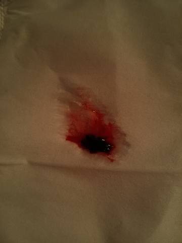 journal_insert_pic_1682664006