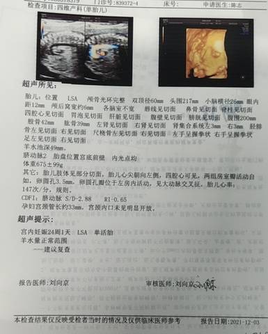 journal_insert_pic_1673221593