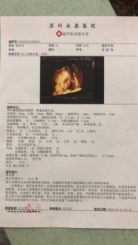 journal_insert_pic_1740931347