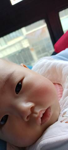 journal_insert_pic_1677410039