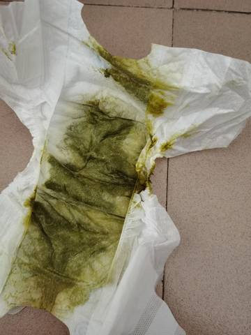 journal_insert_pic_1675626837