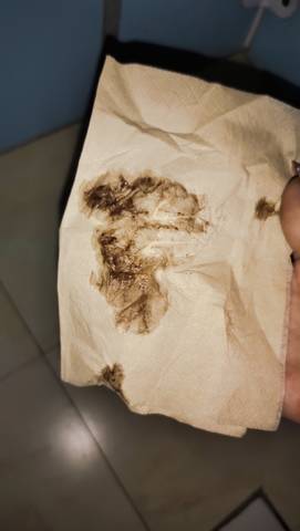 journal_insert_pic_1689397020