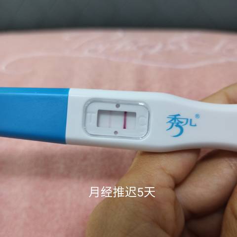 journal_insert_pic_1683061617