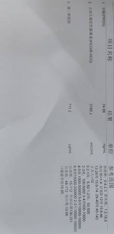 journal_insert_pic_1688474833