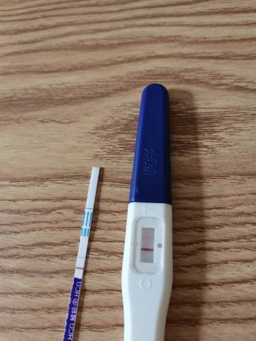 journal_insert_pic_1674158427