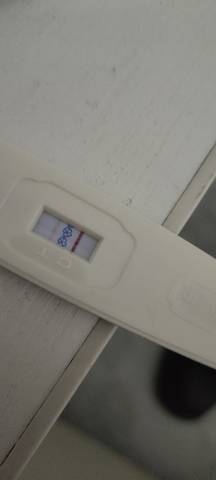 journal_insert_pic_1687849594