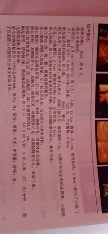 journal_insert_pic_1740877061
