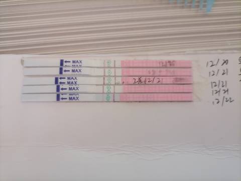 journal_insert_pic_1684170896