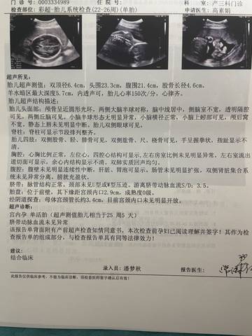 journal_insert_pic_1689794519