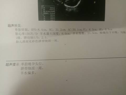 journal_insert_pic_1741067315