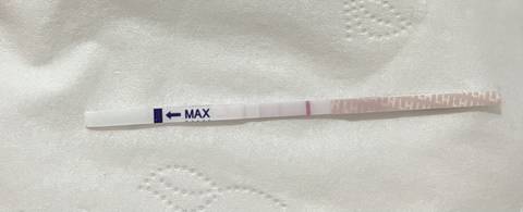 journal_insert_pic_1677537370