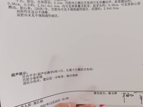 journal_insert_pic_1688223831