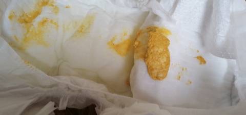 journal_insert_pic_1740949224