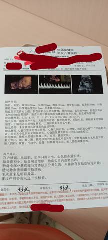 journal_insert_pic_1679952095