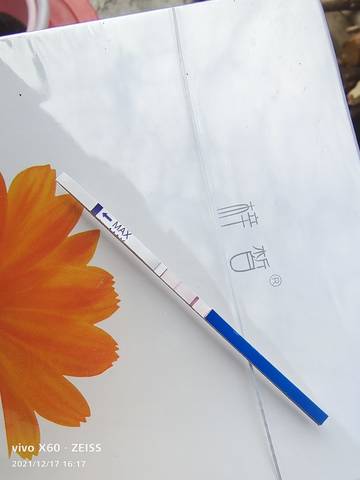 journal_insert_pic_1681738763