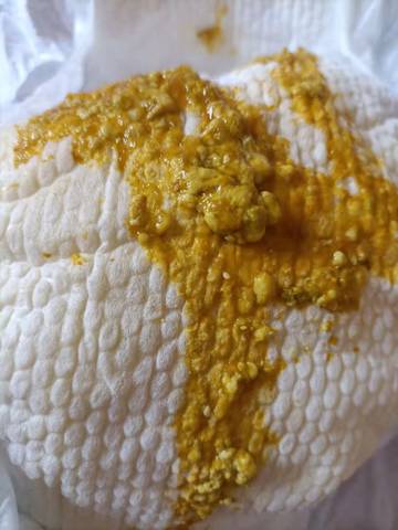 journal_insert_pic_1676959780