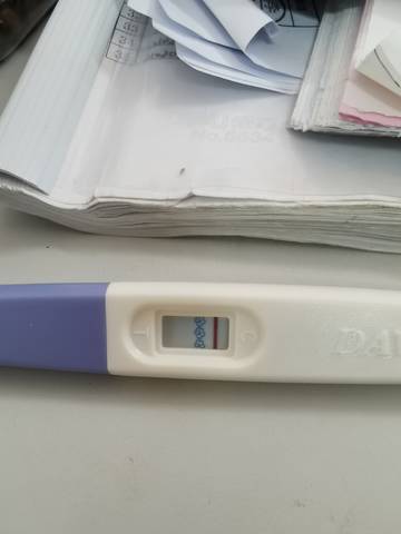 journal_insert_pic_1674647302