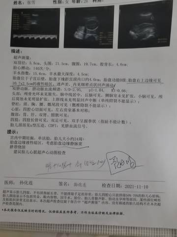journal_insert_pic_1684983583